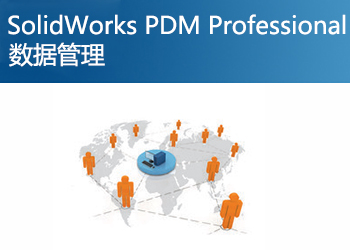 SolidWorks PDM Professional