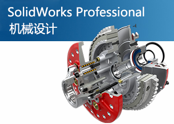 SolidWorks Professional רҵ